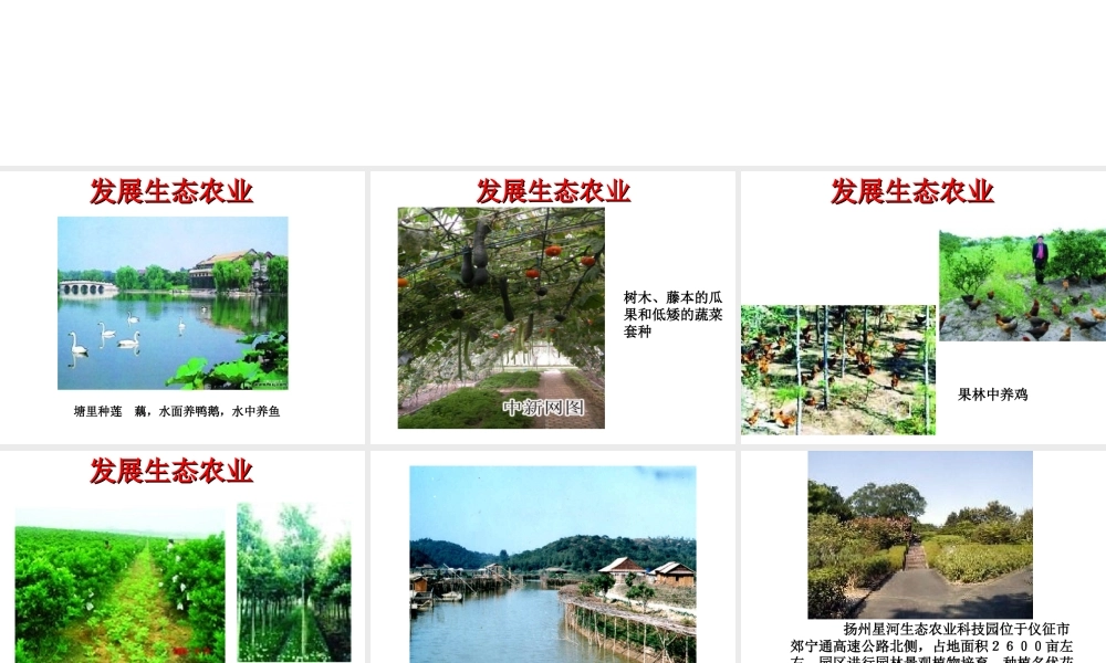 八年级生物下册 第26章 第3节 建设美好的家园课件 苏科版