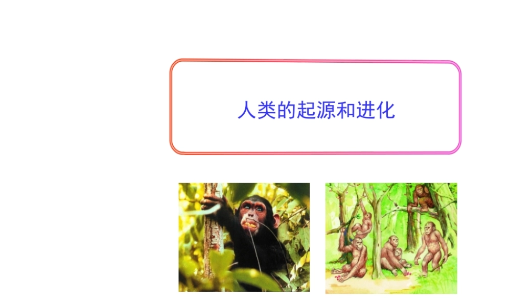 八年级生物下册 第7单元 生命的延续与进化 第23章 第4节《人类的起源和进化》教学课件 （新版）苏科版-（新版）苏科版初中八年级下册生物课件