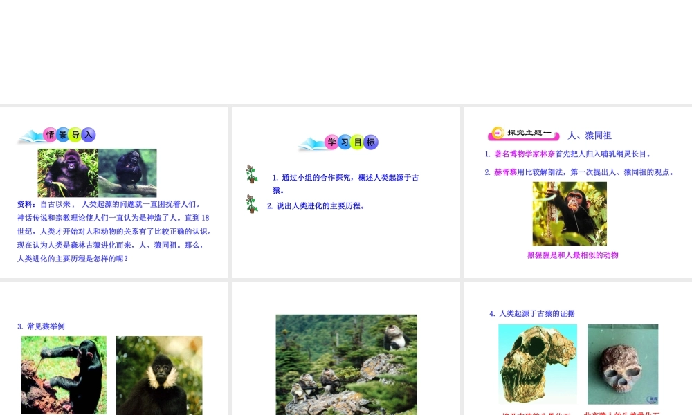 八年级生物下册 第7单元 生命的延续与进化 第23章 第4节《人类的起源和进化》教学课件 （新版）苏科版-（新版）苏科版初中八年级下册生物课件