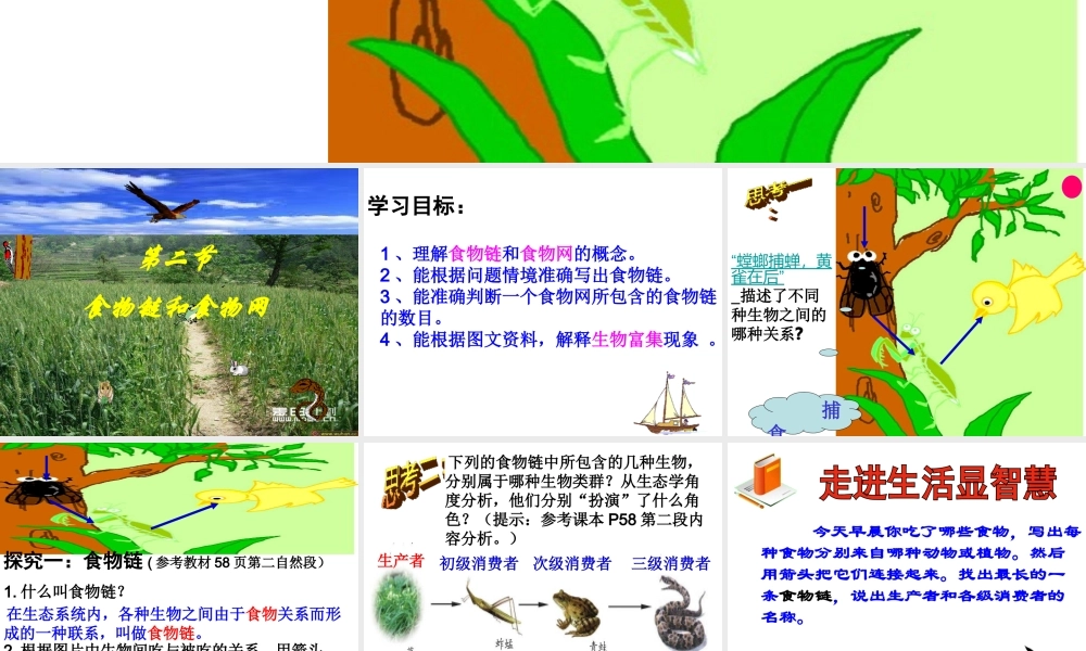 八年级生物下册 第六单 第二章 食物链和食物网课件 济南版-济南级下册生物课件