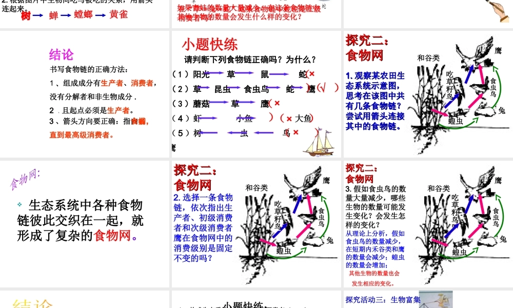八年级生物下册 第六单 第二章 食物链和食物网课件 济南版-济南级下册生物课件