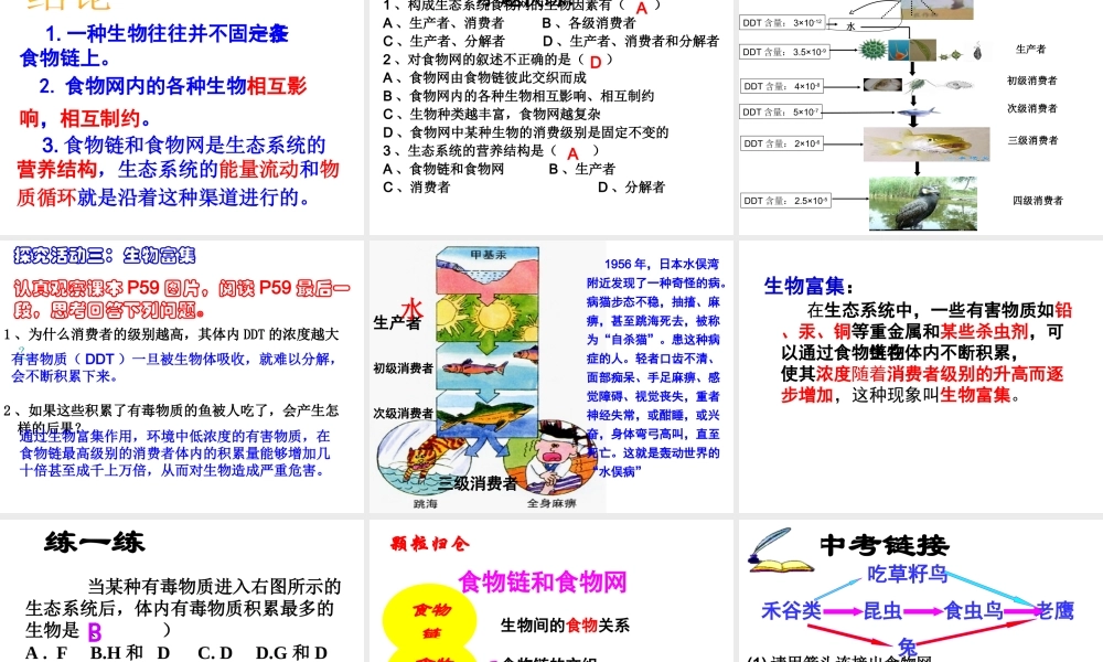 八年级生物下册 第六单 第二章 食物链和食物网课件 济南版-济南级下册生物课件