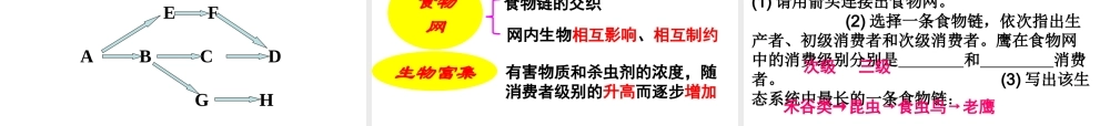 八年级生物下册 第六单 第二章 食物链和食物网课件 济南版-济南级下册生物课件