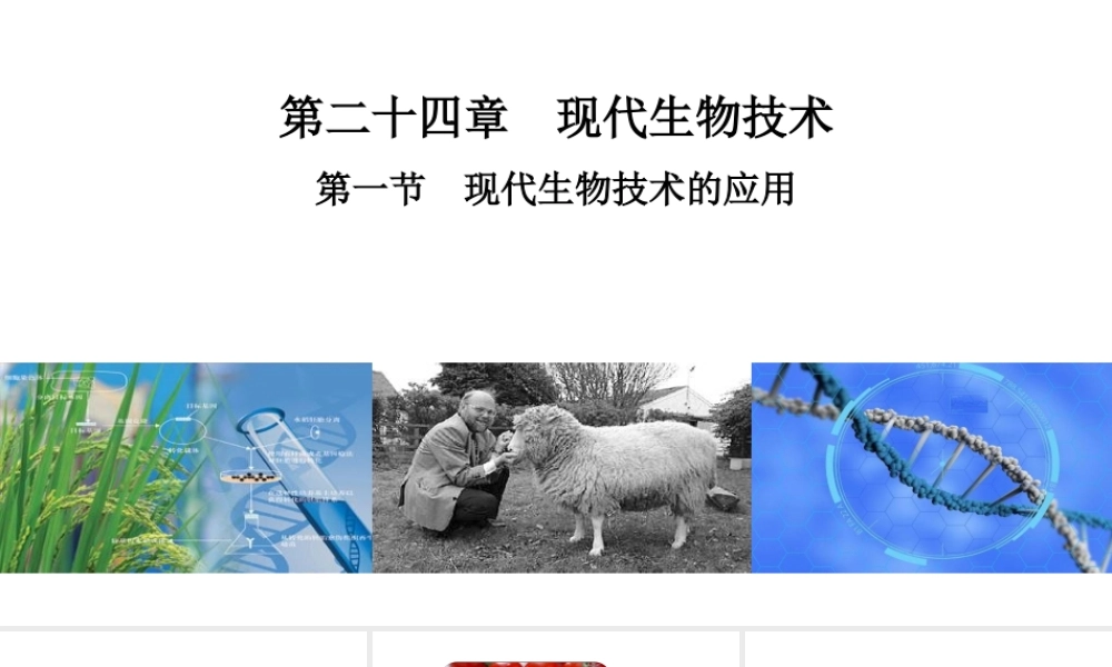 八年级生物下册 第九单元 生物技术 第二十四章 现代生物技术 第一节 现代生物技术的应用课件1（新版）苏教版-（新版）苏教级下册生物课件