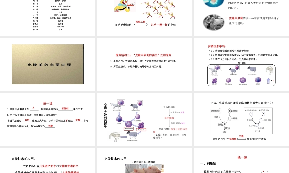 八年级生物下册 第九单元 生物技术 第二十四章 现代生物技术 第一节 现代生物技术的应用课件1（新版）苏教版-（新版）苏教级下册生物课件