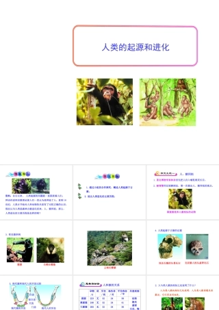 八年级生物下册 第7单元 生命的延续与进化 第23章 第4节《人类的起源和进化》教学课件 （新版）苏科版-（新版）苏科级下册生物课件