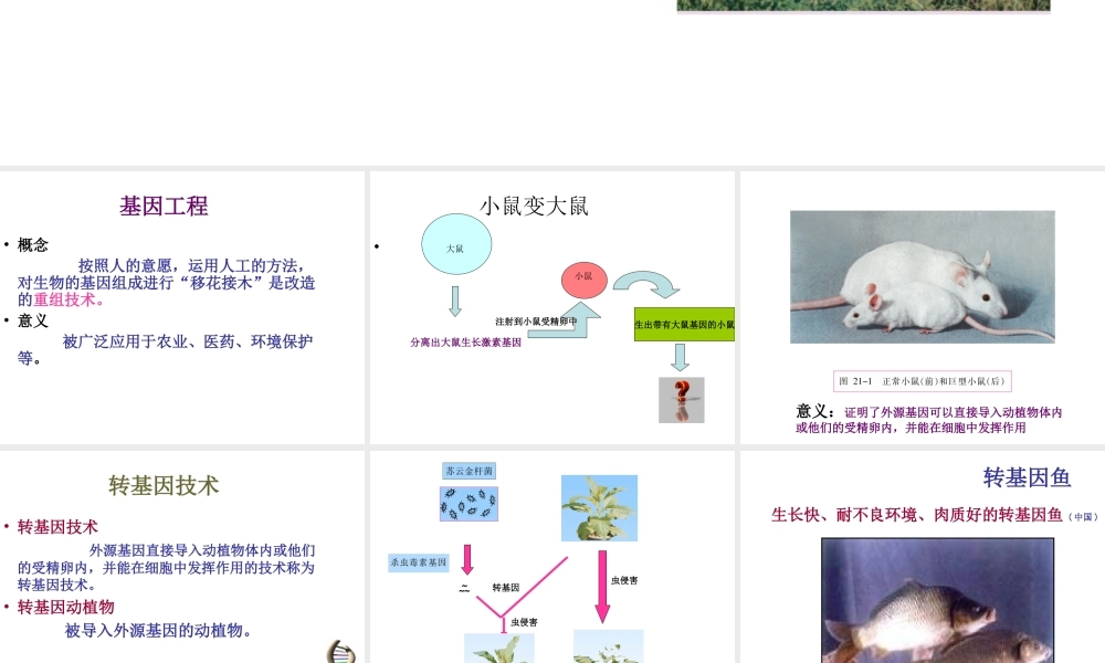 八年级生物下册 第九单元 生物技术 第二十四章 现代生物技术 第一节 现代生物技术的应用课件2（新版）苏教版-（新版）苏教版初中八年级下册生物课件