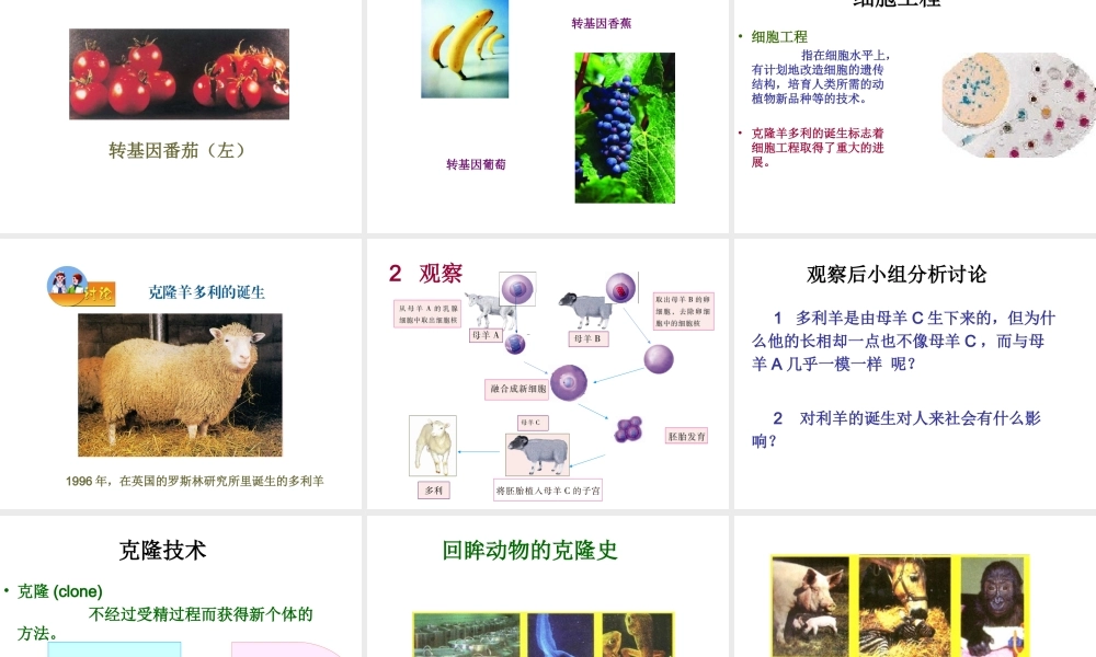 八年级生物下册 第九单元 生物技术 第二十四章 现代生物技术 第一节 现代生物技术的应用课件2（新版）苏教版-（新版）苏教版初中八年级下册生物课件