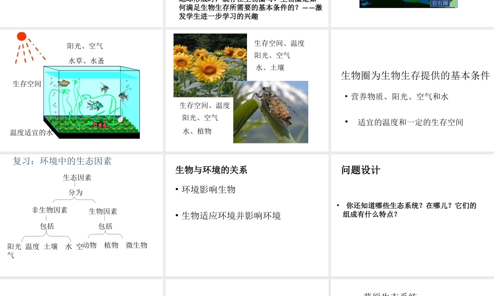 八年级生物下册 第26章《生物圈是最大的生态系统》课件 苏教版