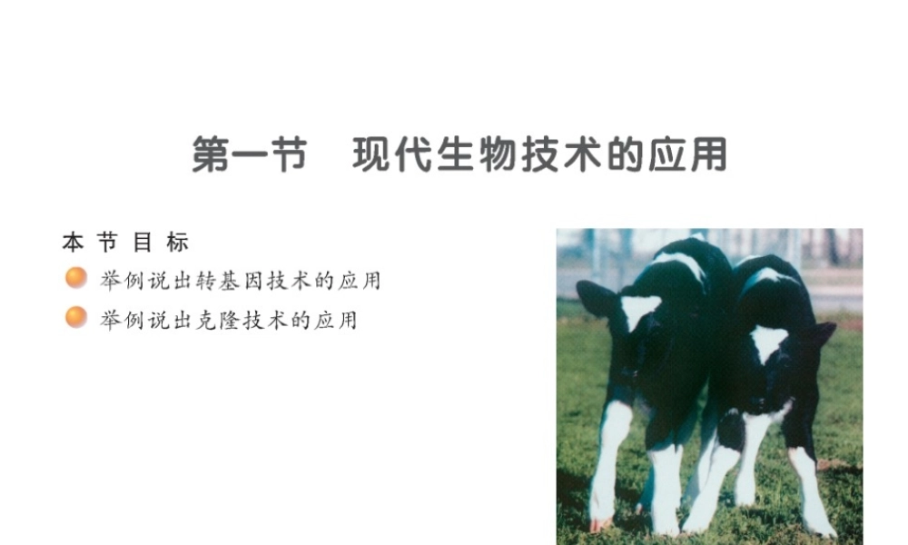 八年级生物下册 第九单元 生物技术 第二十四章 现代生物技术 第一节 现代生物技术的应用课件2（新版）苏教版-（新版）苏教级下册生物课件
