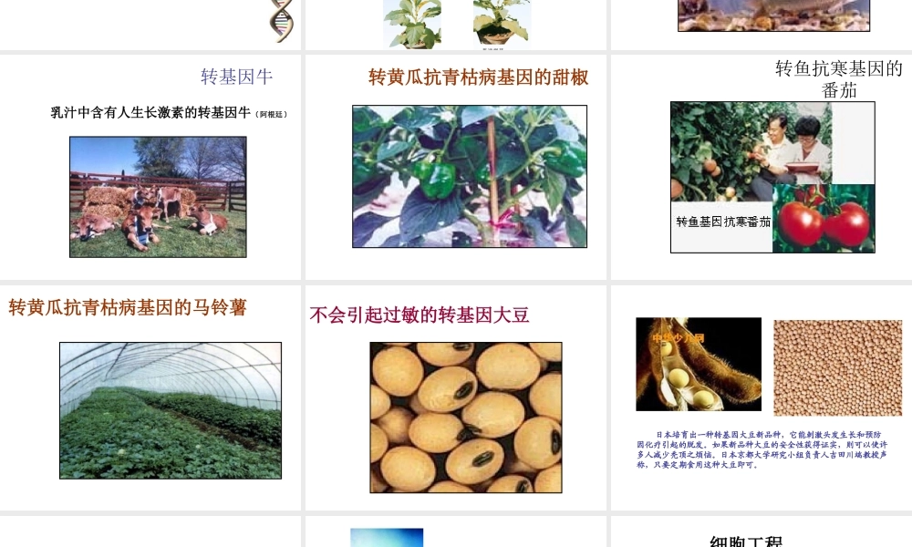 八年级生物下册 第九单元 生物技术 第二十四章 现代生物技术 第一节 现代生物技术的应用课件2（新版）苏教版-（新版）苏教级下册生物课件