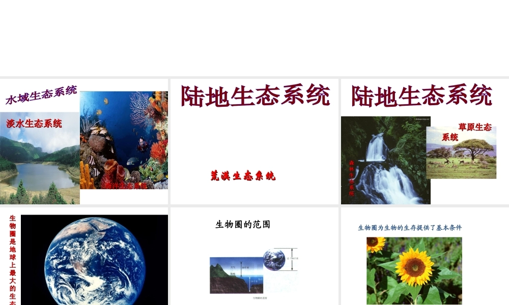 八年级生物下册 第26章第1节《生物圈中各种生态系统》课件 苏教版