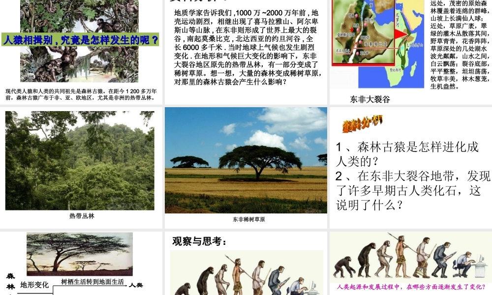 八年级生物下册 第7单元 生命的延续与进化 第23章 第4节《人类的起源和进化》课件1 （新版）苏科版-（新版）苏科级下册生物课件