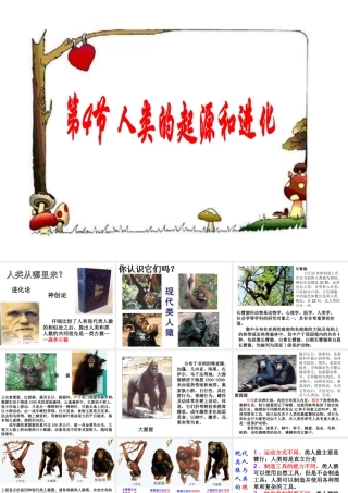 八年级生物下册 第7单元 生命的延续与进化 第23章 第4节《人类的起源和进化》课件1 （新版）苏科版-（新版）苏科级下册生物课件