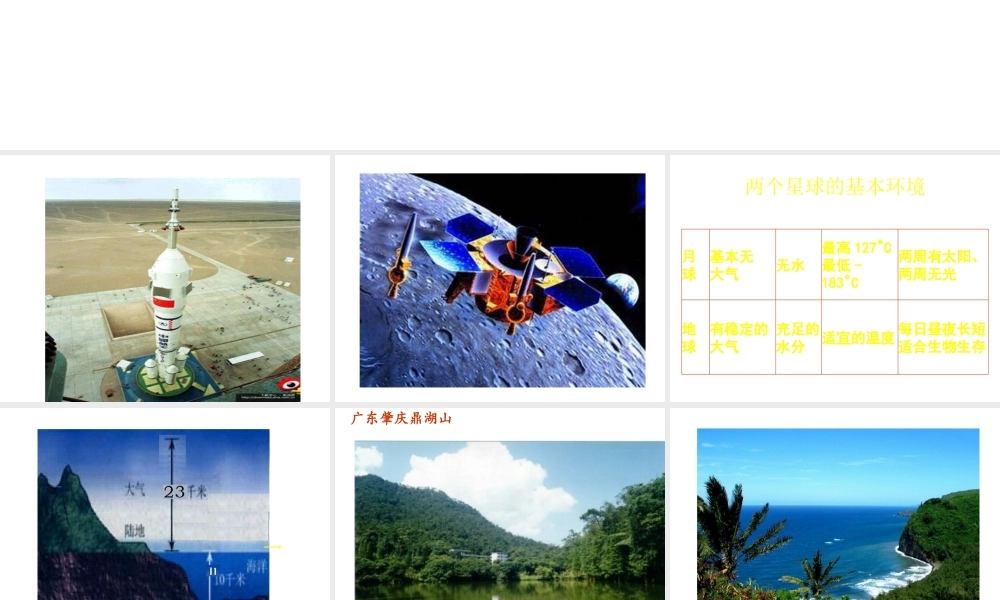 八年级生物下册 第26章第2节《生物圈是生物的共同家园》课件 苏教版