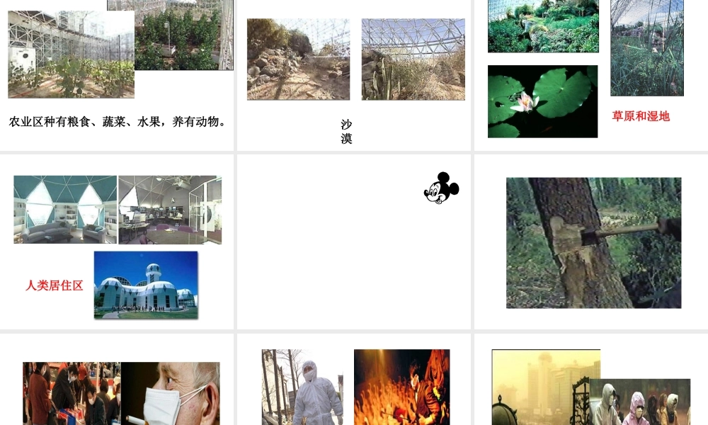 八年级生物下册 第26章第2节《生物圈是生物的共同家园》课件 苏教版