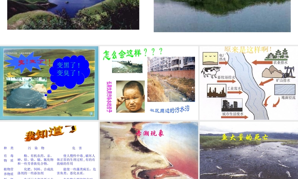 八年级科学上册《水的利用和保护》课件1 浙教版