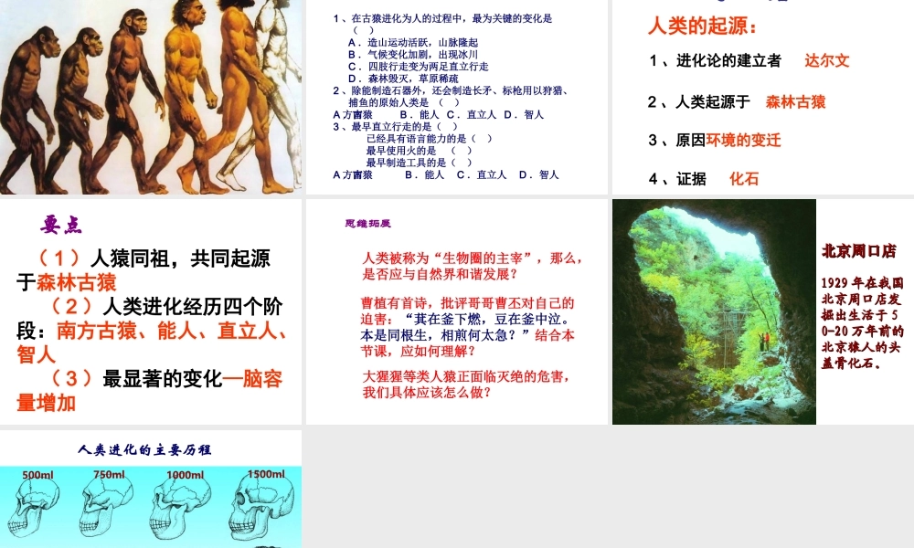 八年级生物下册 第7单元 生命的延续与进化 第23章 第4节《人类的起源和进化》课件2 （新版）苏科版-（新版）苏科级下册生物课件