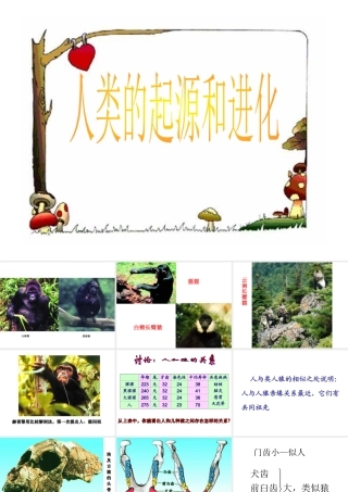 八年级生物下册 第7单元 生命的延续与进化 第23章 第4节《人类的起源和进化》课件2 （新版）苏科版-（新版）苏科级下册生物课件