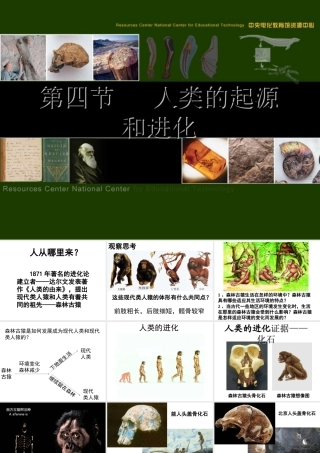 八年级生物下册 第7单元 生命的延续与进化 第23章 第4节《人类的起源和进化》课件3 （新版）苏科版-（新版）苏科版初中八年级下册生物课件