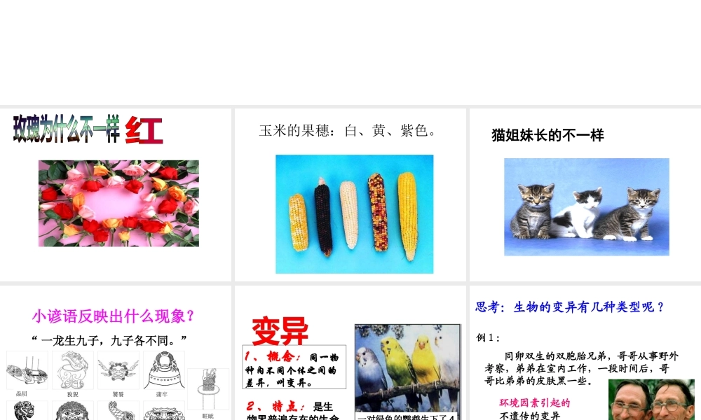 八年级生物下册 第六单元 第二章 第二节 变异课件 冀少版-人教版初中八年级下册生物课件