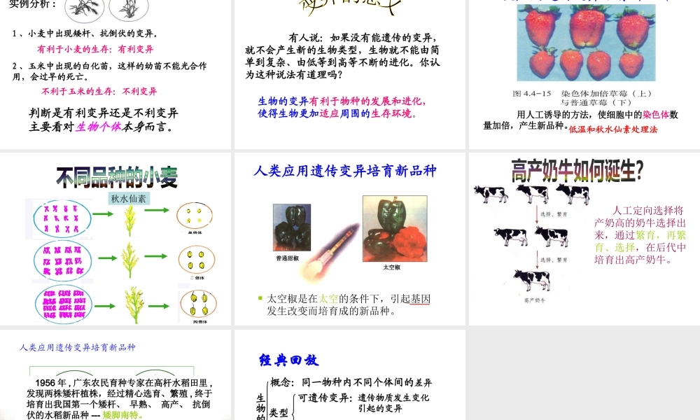 八年级生物下册 第六单元 第二章 第二节 变异课件 冀少版-人教版初中八年级下册生物课件