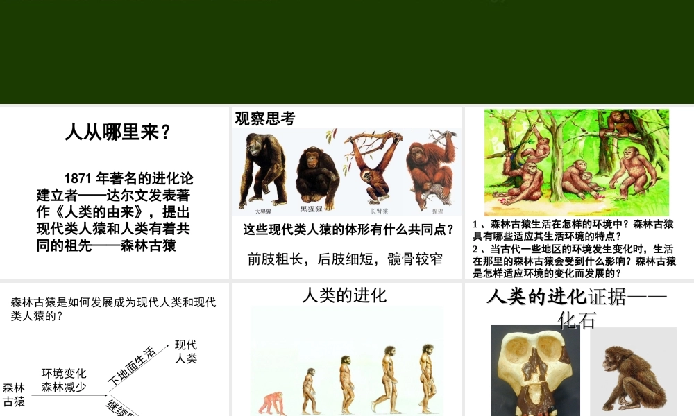 八年级生物下册 第7单元 生命的延续与进化 第23章 第4节《人类的起源和进化》课件3 （新版）苏科版-（新版）苏科级下册生物课件