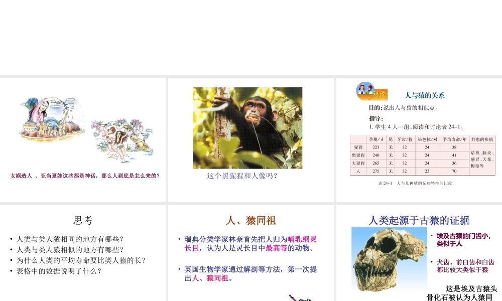 八年级生物下册 第7单元 生命的延续与进化 第23章 第4节《人类的起源和进化》课件4 （新版）苏科版-（新版）苏科版初中八年级下册生物课件