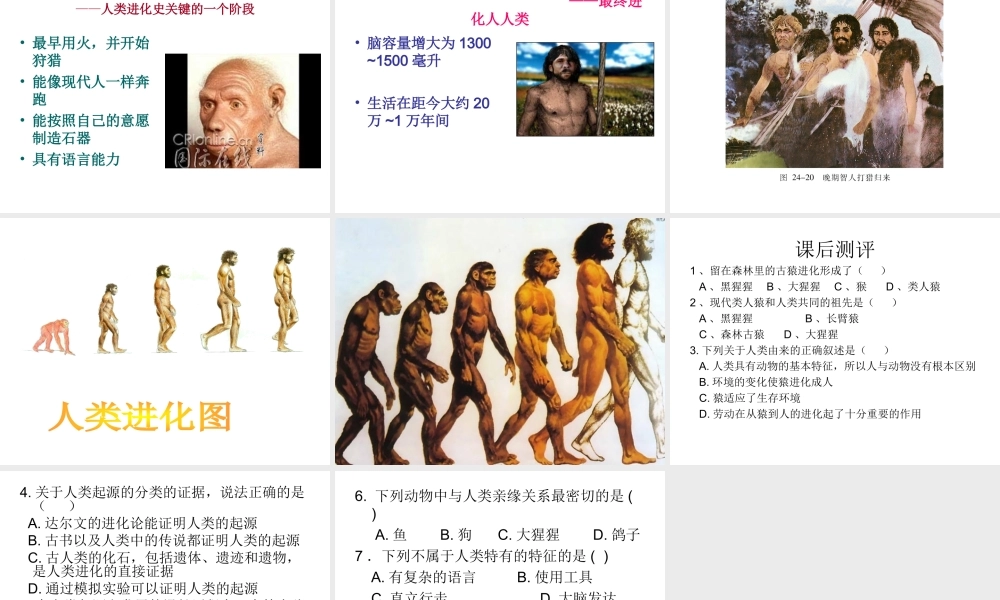 八年级生物下册 第7单元 生命的延续与进化 第23章 第4节《人类的起源和进化》课件4 （新版）苏科版-（新版）苏科版初中八年级下册生物课件