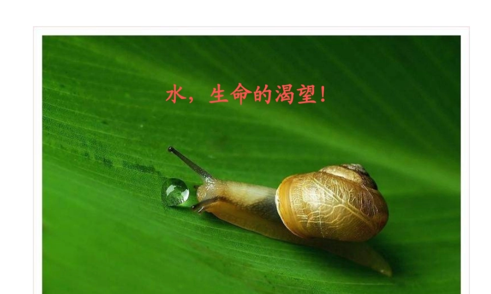 八年级科学上册《水的利用和保护》课件6 浙教版