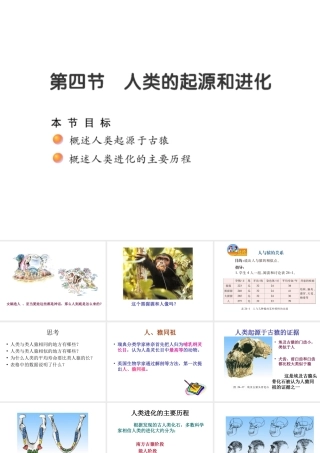 八年级生物下册 第7单元 生命的延续与进化 第23章 第4节《人类的起源和进化》课件4 （新版）苏科版-（新版）苏科级下册生物课件