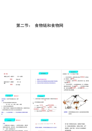八年级生物下册 第六单元 第二章 第二节 食物链和食物网教学课件 （新版）济南版-（新版）济南级下册生物课件