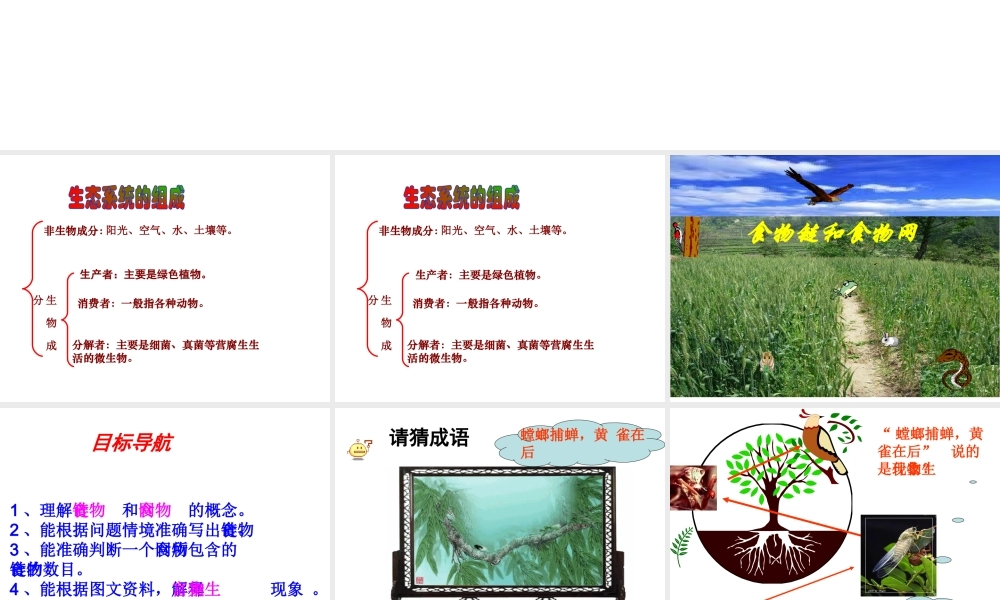 八年级生物下册 第六单元 第二章 第二节 食物链和食物网课件 （新版）济南版-（新版）济南版初中八年级下册生物课件