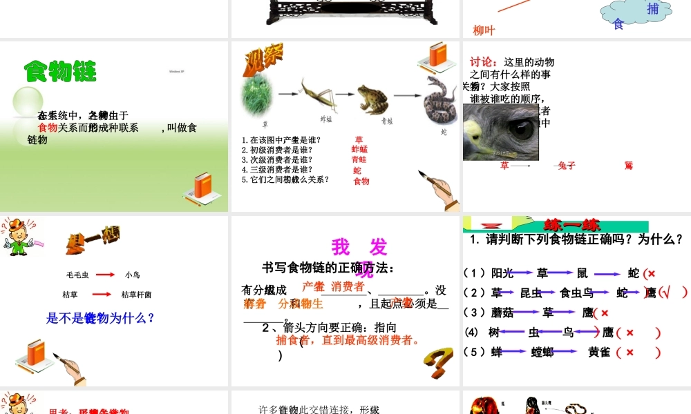 八年级生物下册 第六单元 第二章 第二节 食物链和食物网课件 （新版）济南版-（新版）济南版初中八年级下册生物课件