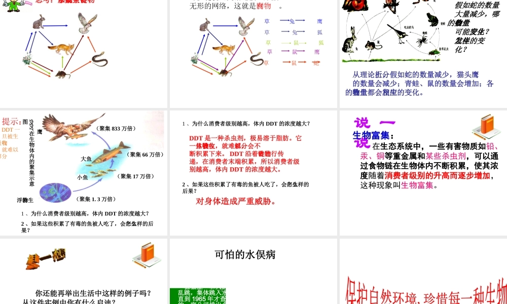 八年级生物下册 第六单元 第二章 第二节 食物链和食物网课件 （新版）济南版-（新版）济南版初中八年级下册生物课件