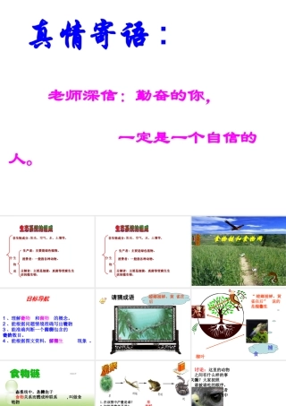 八年级生物下册 第六单元 第二章 第二节 食物链和食物网课件 （新版）济南版-（新版）济南版初中八年级下册生物课件