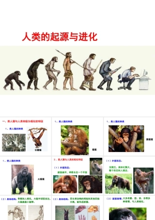 八年级生物下册 第7单元 生命的延续与进化 第23章 第4节《人类的起源和进化》探究课件 （新版）苏科版-（新版）苏科版初中八年级下册生物课件