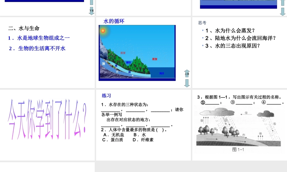 八年级科学上册《水在哪里》课件1 浙教版