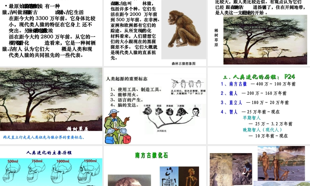 八年级生物下册 第7单元 生命的延续与进化 第23章 第4节《人类的起源和进化》同步课件 （新版）苏科版-（新版）苏科版初中八年级下册生物课件