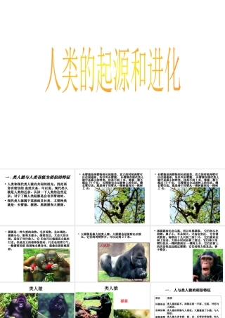 八年级生物下册 第7单元 生命的延续与进化 第23章 第4节《人类的起源和进化》同步课件 （新版）苏科版-（新版）苏科版初中八年级下册生物课件