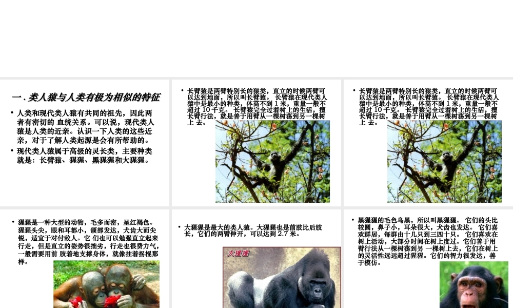 八年级生物下册 第7单元 生命的延续与进化 第23章 第4节《人类的起源和进化》同步课件 （新版）苏科版-（新版）苏科级下册生物课件