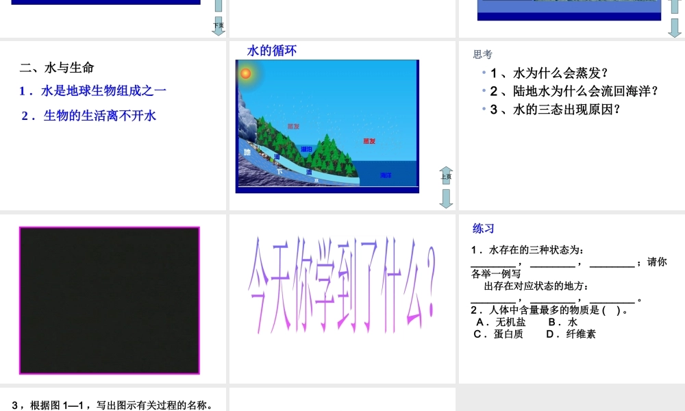 八年级科学上册《水在哪里》课件4 浙教版