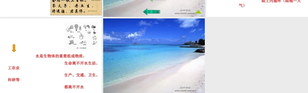 八年级科学上册《水在哪里》课件7 浙教版