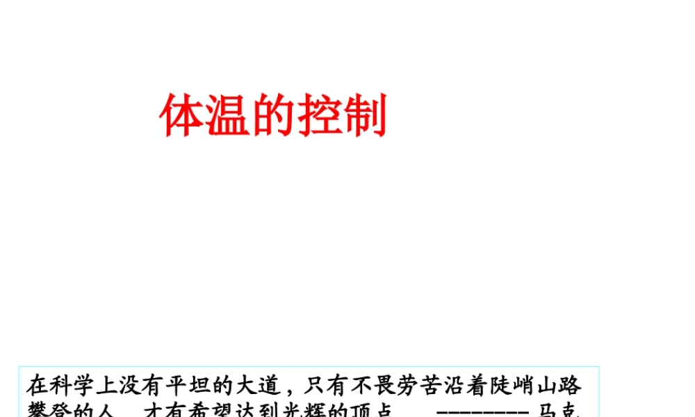 八年级科学上册《体温的控制》课件1 浙教版