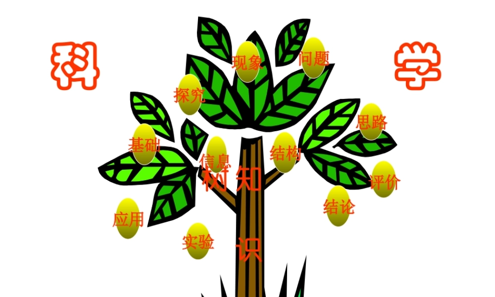 八年级科学上册《物质在水中的分散状况》课件1 浙教版