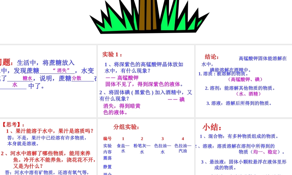 八年级科学上册《物质在水中的分散状况》课件1 浙教版