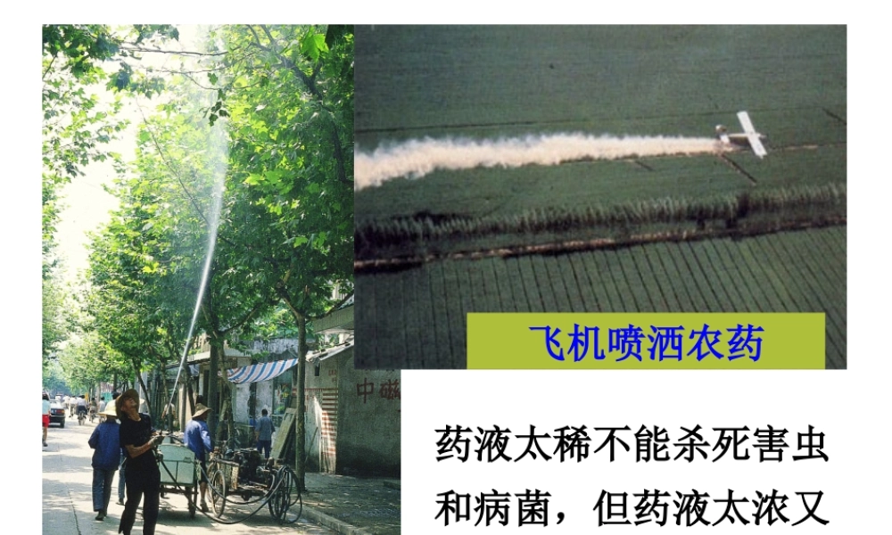 八年级科学上册《物质在水中的溶解》课件5 浙教版