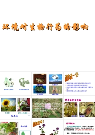 八年级科学上册《环境对生物行为的影响》课件1 浙教版