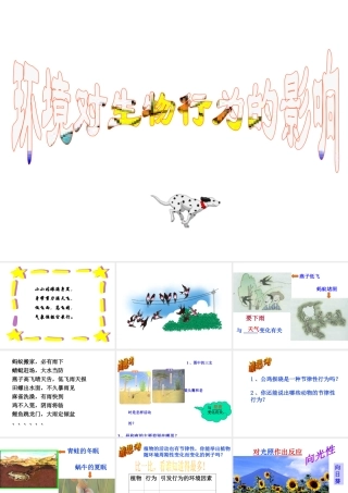 八年级科学上册《环境对生物行为的影响》课件3 浙教版