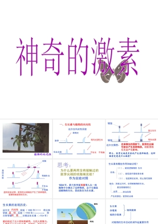八年级科学上册《神奇的激素》课件1 浙教版